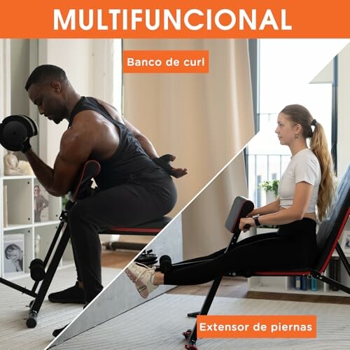 Banco de Pesas Plegable DH FitLife